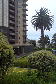 Unified Services Pest Control Commercial Services